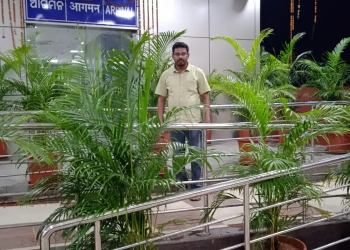 Garden Watering & Maintenance